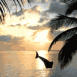Dauphin avec plage au crépuscule